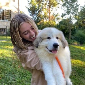 Meet your Posher, Ava